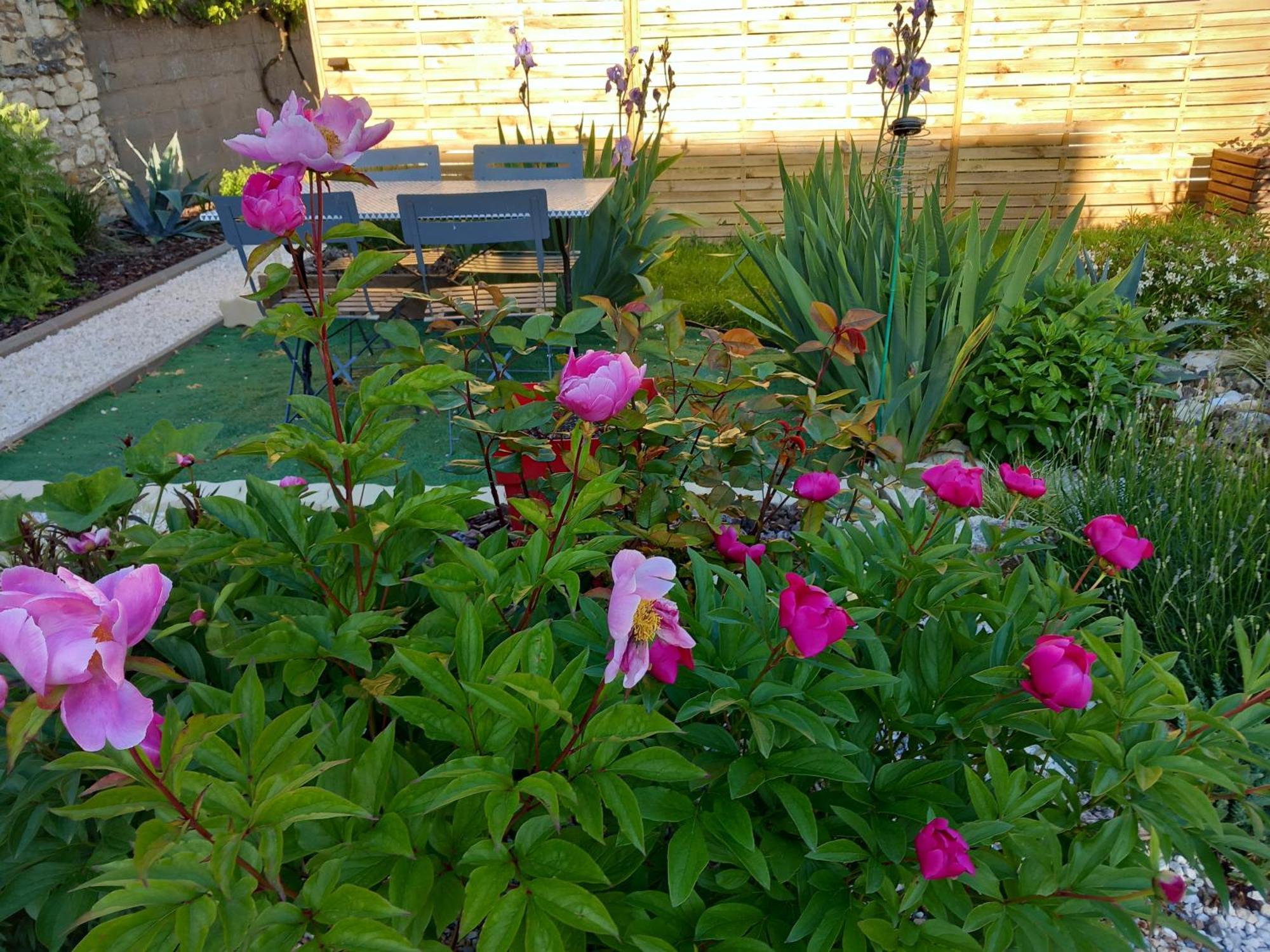 Bed and Breakfast Chez Bea Шательро Экстерьер фото